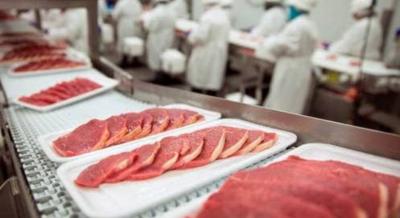 سرطان دماغ نادر يرتبط بطفيلي في اللحوم غير المطبوخة والمياه الملوثة