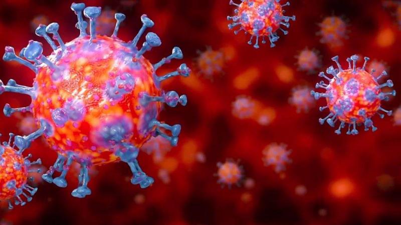 اليايان تعلن اكتشاف سلالة جديدة من فيروس كورونا