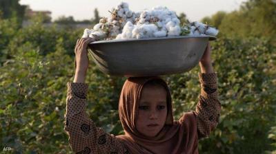 نفط سوريا الأبيض مهدد بالخطر بسبب داعش والجفاف والغلاء