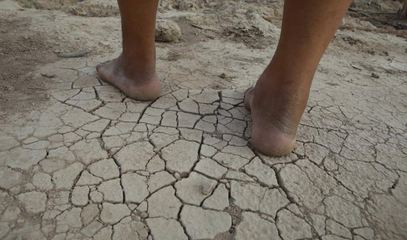 الجفاف في العراق يعكس تهديد المناخ للأمن الغذائي
