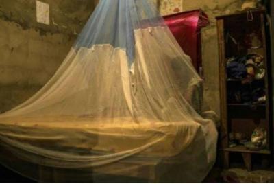 WHO Declares China Free of Malaria