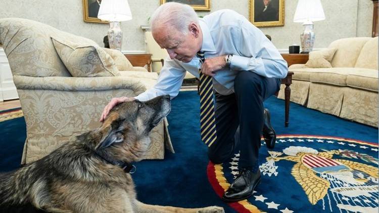 Biden and First Lady Bid Farewell to 