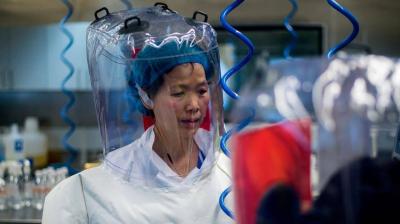 Bat Scientist Not Regretful: "I Didn't Commit Any Mistake in the Wuhan Lab"