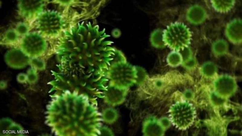 After the First Case Was Reported: What is Green Fungus and Its Causes of Infection?
