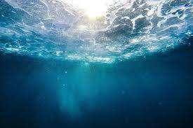 Discovery of Largest Bioluminescent Vertebrate in the "Twilight Zone" of the Ocean
