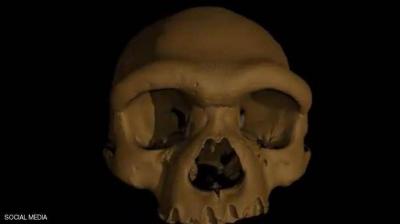 "Dragon Man": A Skull That Could Rewrite Human Evolution