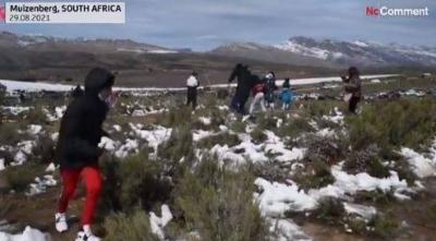 Title: Video: Snow in Southern Continent