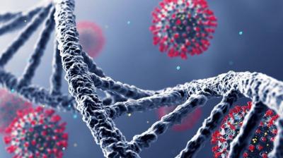 Viruses Hide in Bird Wings.. Beware of the Next Pandemic