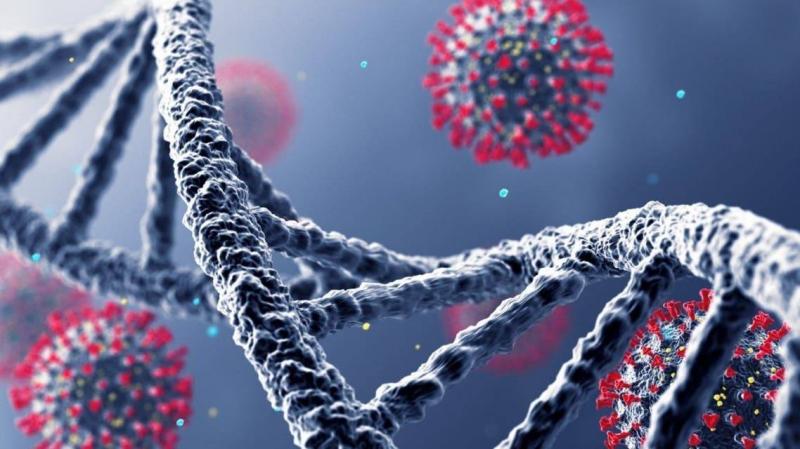 Viruses Hide in Bird Wings.. Beware of the Next Pandemic