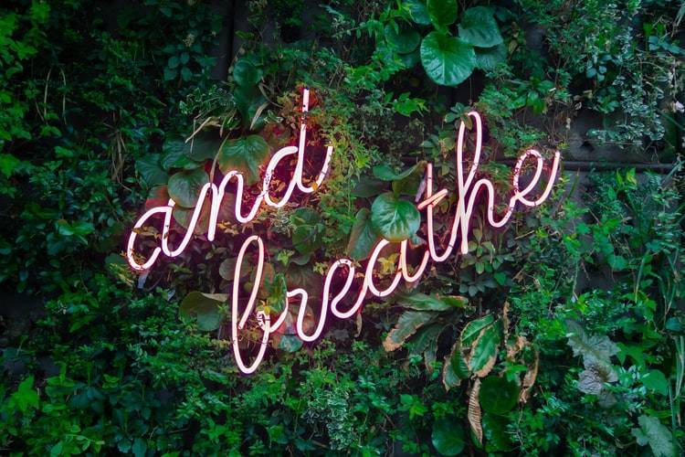 How to Improve Your Lung Function with Physiotherapy
