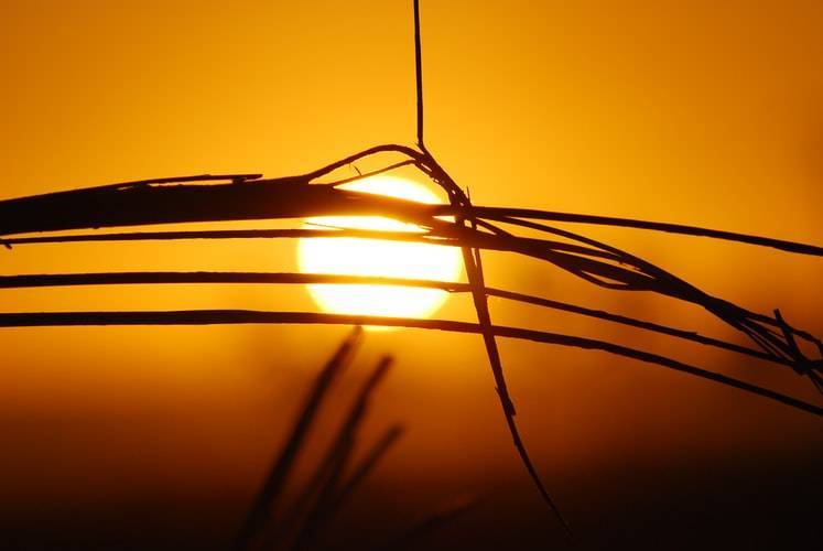 Title: Kuwait's Heat Approaches 