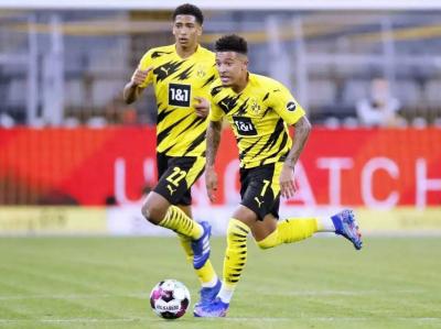Borussia Dortmund Held to a Draw by Hoffenheim in the Bundesliga