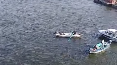 Terrible Accident in Egypt: Bus Plunges with Passengers into the Nile