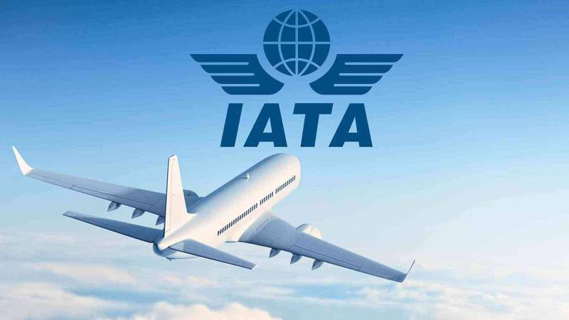 Losses of Airlines Linked to the Pandemic Exceed $200 Billion