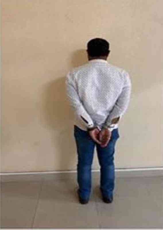 Camel Beautification Operations Lead to Arrest in Saudi Arabia