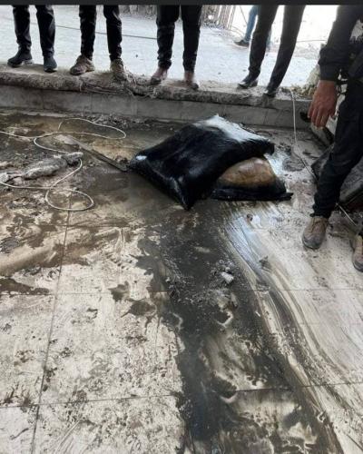 Title: Images: Finding a New Treasure During Debris Removal in Mosul
