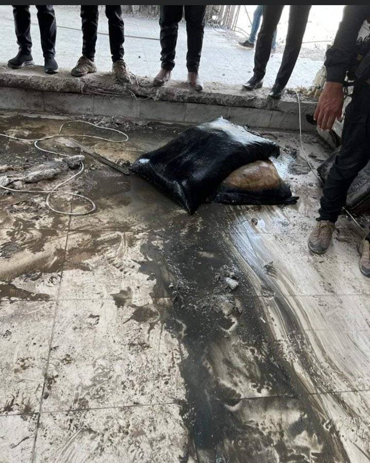 Title: Images: Finding a New Treasure During Debris Removal in Mosul