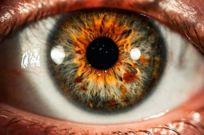 Vision Restored for the First Time in 16 Years with "Artificial Retina"