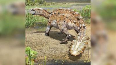 Armored Dinosaur Terrifies Opponents with Sharp Tail