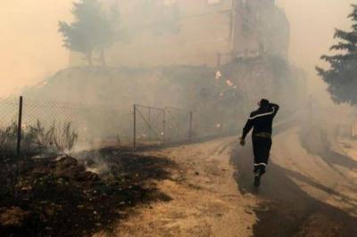 Death Toll from Wildfires in Algeria Rises to 42
