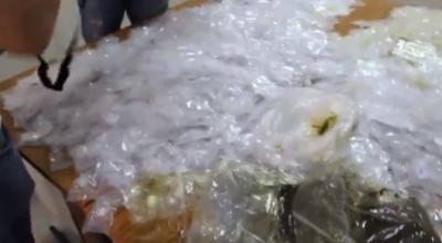 Title: Major Drug Trafficking Operation Disrupted in Lebanon