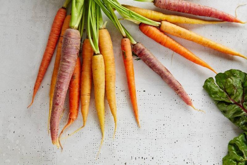 3 Categories Prohibited from Eating Carrots