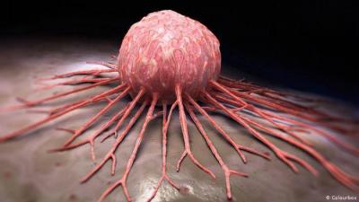 Consuming This Food Reduces Cancer Risk by Half