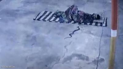 Video: Unexpected Surprise in Bed... Giant "Cobra"