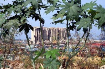 Rising Tensions Over Beirut Port Investigation Push Lebanon into New Crisis