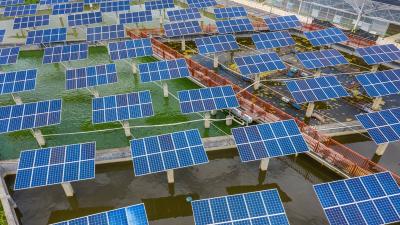 Title: Fish Farming Under Photovoltaic Panels in China