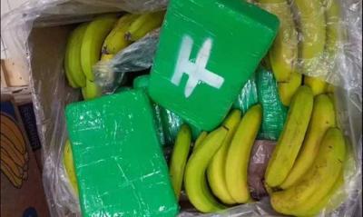 Major Cocaine Smuggling Operation Uncovered in Europe