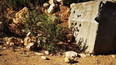 Israeli Army Announces Downing of Drone on Lebanese Border