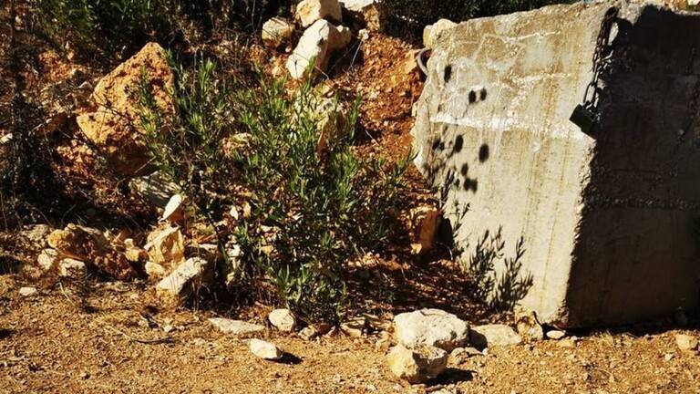Israeli Army Announces Downing of Drone on Lebanese Border