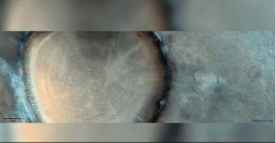 Controversial Image: "Tree Trunk" Detected on Mars Surface