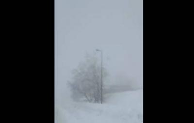 Video: Live Snow Accumulation in Dahr al-Baidar