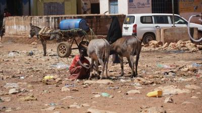 US Military Launches First Airstrike in Somalia Under Biden Administration