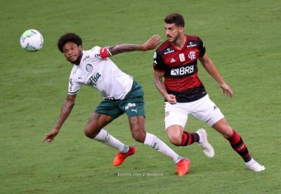 Palmeiras Falls to Flamengo in the Brazilian Premier League