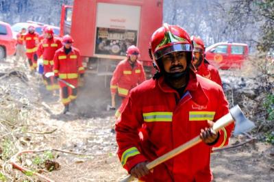 Qatar's Search and Rescue Team Begins Operations in Fire Sites in Greece