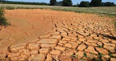 The Worst in 500 Years: Drought Threatens Europe