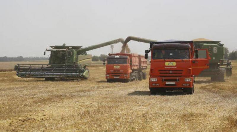 Egypt: 14 Approved Countries for Wheat Supply... Stock Sufficient for 9 Months
