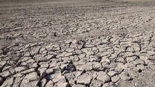Title: Europe Faces Its Most Severe Drought Wave in History