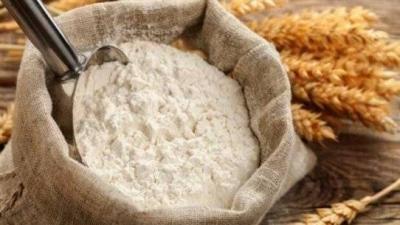 Flour Coupons: Blank Checks... and "Baking with Joy"!