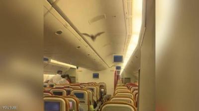 Video: Terror on an Indian Plane for a Strange Reason!