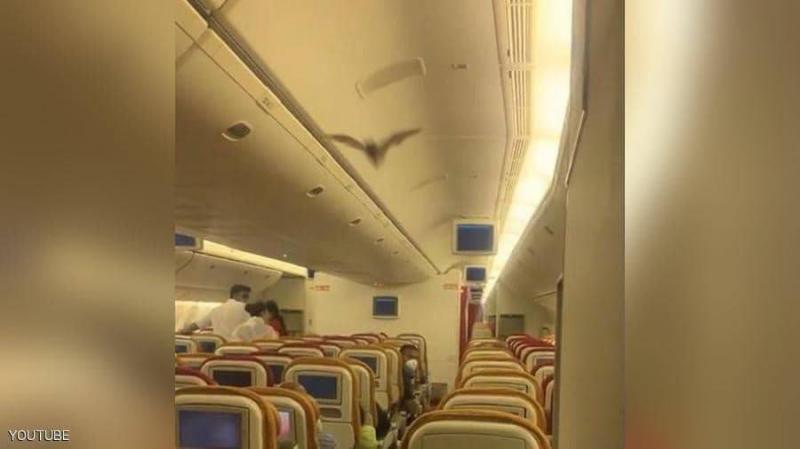 Video: Terror on an Indian Plane for a Strange Reason!
