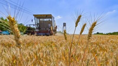 EU Plans to Partially Lift Asset Freeze on Certain Russian Banks Due to Grain Issue