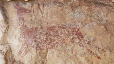 In a Cave in Spain: Discovery of Amazing 7,500-Year-Old Drawings