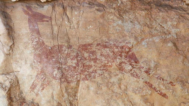 In a Cave in Spain: Discovery of Amazing 7,500-Year-Old Drawings