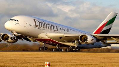UAE Plans to Create Digital Medical Records for Travelers to Enhance Travel Experience