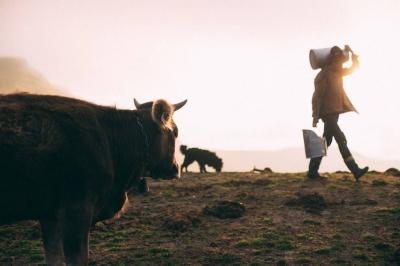 Research Raises Alarm About Cow's Milk... Increases Cancer Risk
