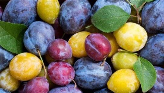 Peaches Detoxify the Body